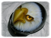 Adler-Helm