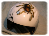 Spider-Helm
